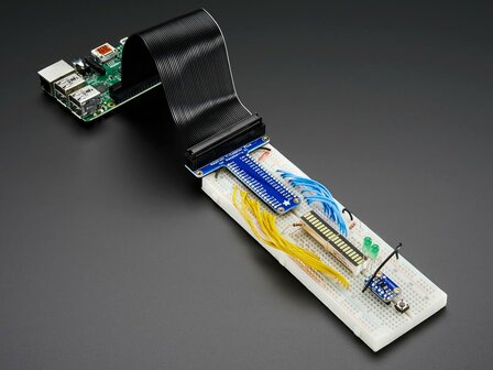 Assembled Pi T-Cobbler Plus - GPIO Breakout - Pi A+, B+, Pi 2/3/4, Zero  Adafruit  2028